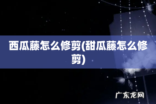 甜瓜藤怎么修剪 西瓜藤怎么修剪