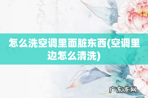 空调里边怎么清洗 怎么洗空调里面脏东西