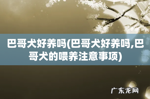 巴哥犬好养吗,巴哥犬的喂养注意事项 巴哥犬好养吗