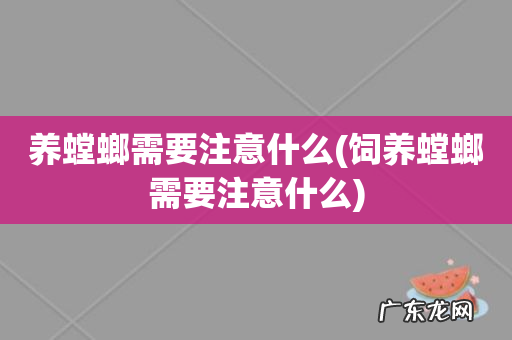 饲养螳螂需要注意什么 养螳螂需要注意什么