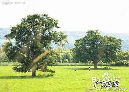 如何治疗强迫症思维 严重的强迫症怎么治疗