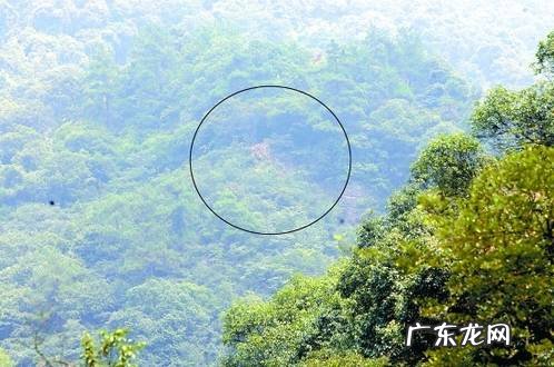 陈老师讲风水 风水大师李老师