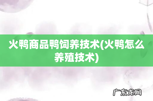 火鸭怎么养殖技术 火鸭商品鸭饲养技术