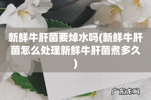 新鲜牛肝菌怎么处理新鲜牛肝菌煮多久 新鲜牛肝菌要焯水吗