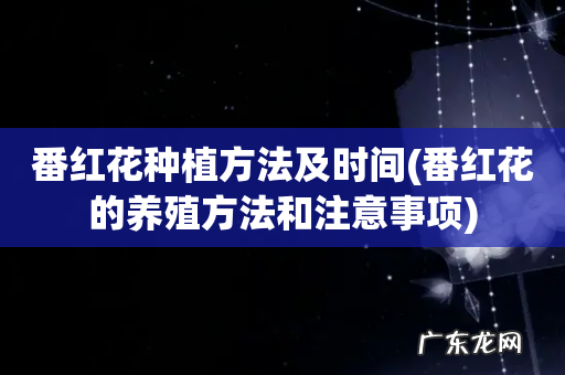 番红花的养殖方法和注意事项 番红花种植方法及时间
