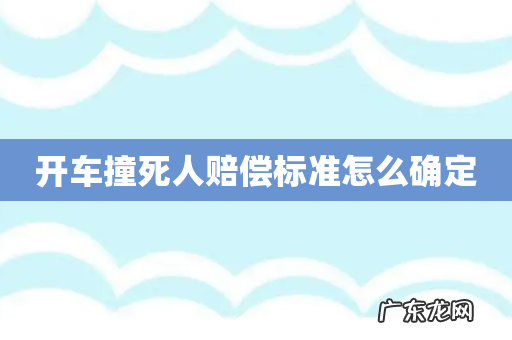 开车撞死人赔偿标准怎么确定