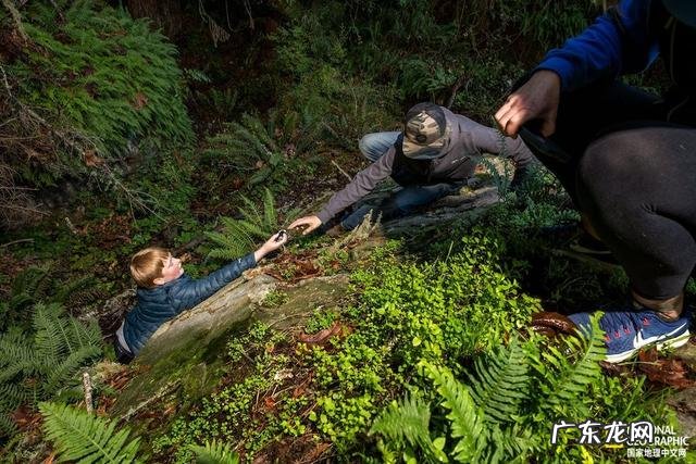 QQ小游戏弹弹球 弹弹球图片