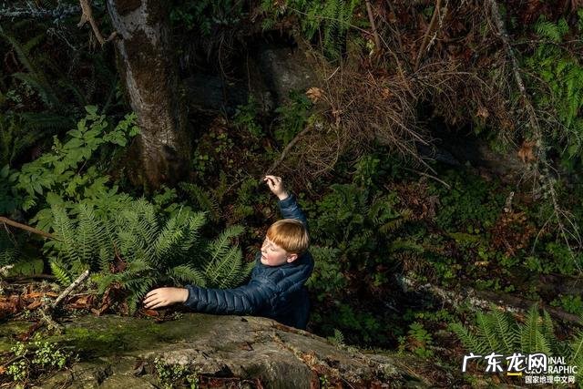 QQ小游戏弹弹球 弹弹球图片