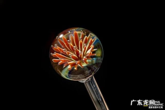 QQ小游戏弹弹球 弹弹球图片