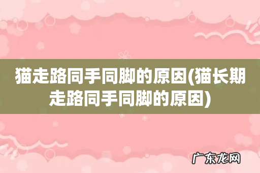 猫长期走路同手同脚的原因 猫走路同手同脚的原因