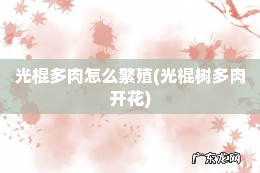 光棍树多肉开花 光棍多肉怎么繁殖