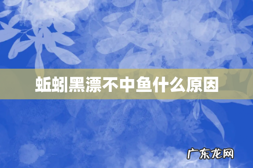 蚯蚓黑漂不中鱼什么原因