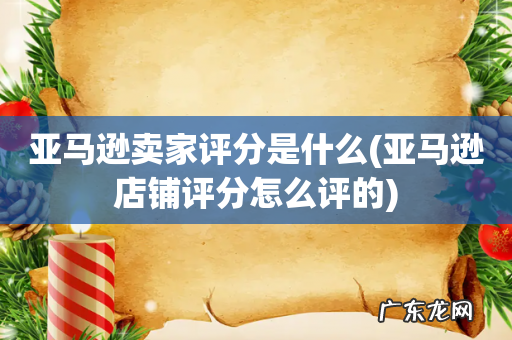 亚马逊店铺评分怎么评的 亚马逊卖家评分是什么