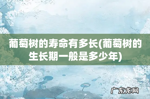 葡萄树的生长期一般是多少年 葡萄树的寿命有多长