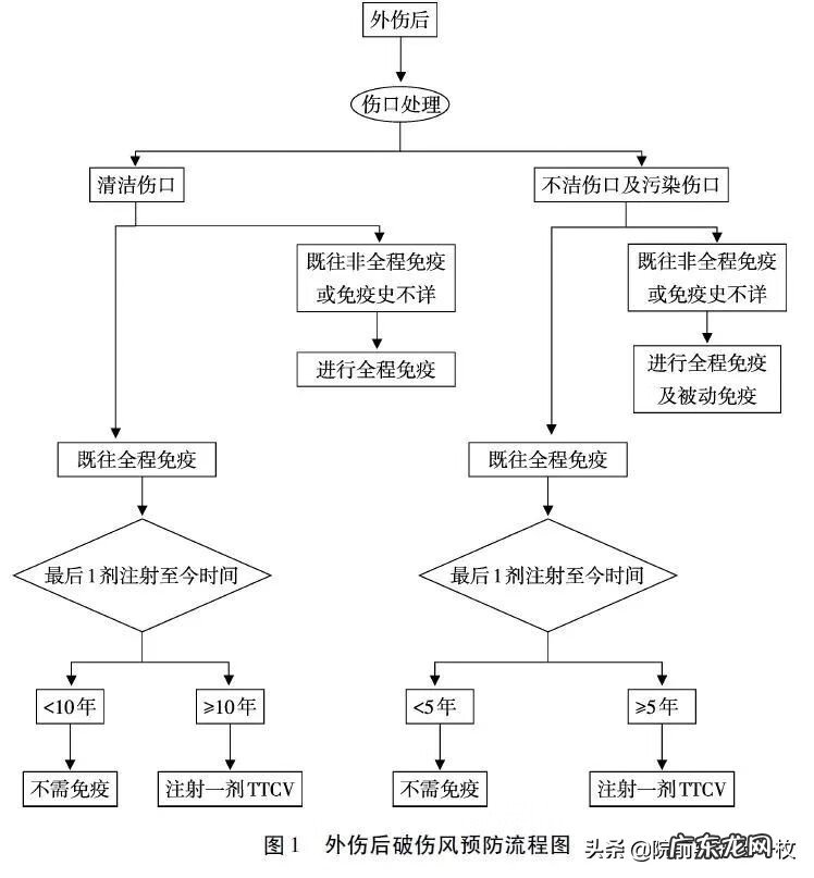 破伤风是什么杆菌引起的 破伤风杆菌感染