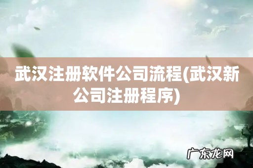 武汉新公司注册程序 武汉注册软件公司流程