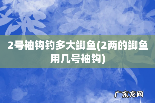 2两的鲫鱼用几号袖钩 2号袖钩钓多大鲫鱼