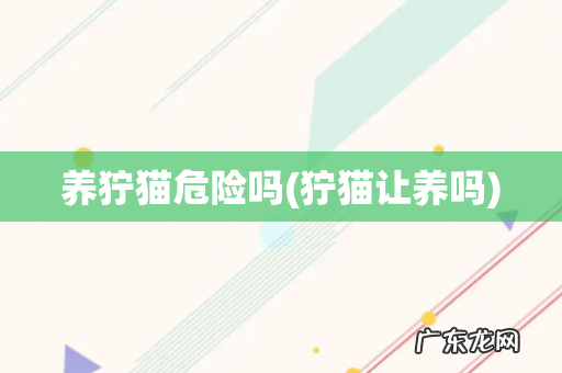 狞猫让养吗 养狞猫危险吗