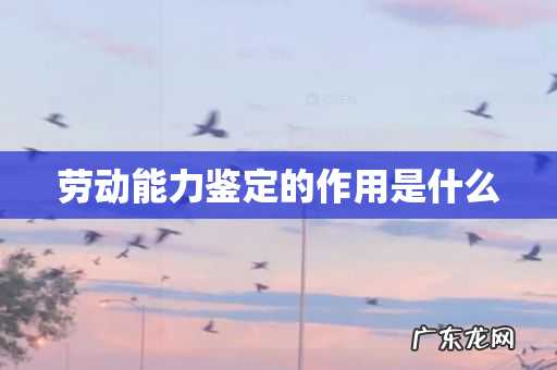 劳动能力鉴定的作用是什么