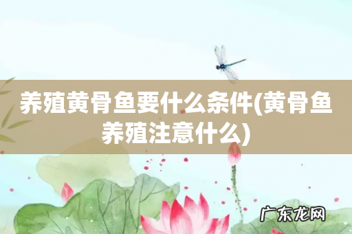 黄骨鱼养殖注意什么 养殖黄骨鱼要什么条件