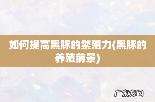 黑豚的养殖前景 如何提高黑豚的繁殖力