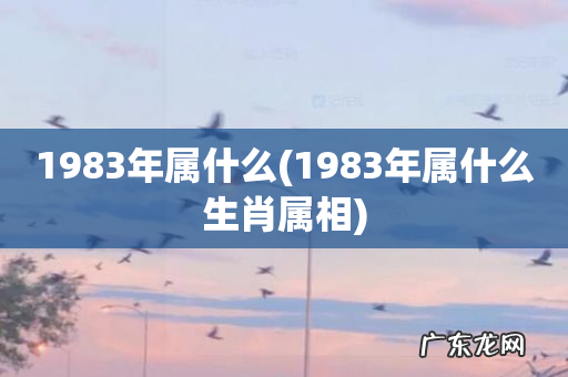 1983年属什么生肖属相 1983年属什么