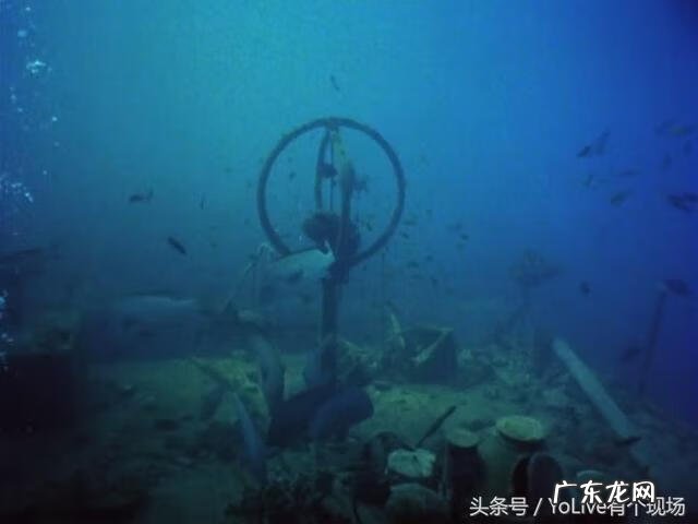 巴鲍勃 海绵鲍勃还是海绵宝宝