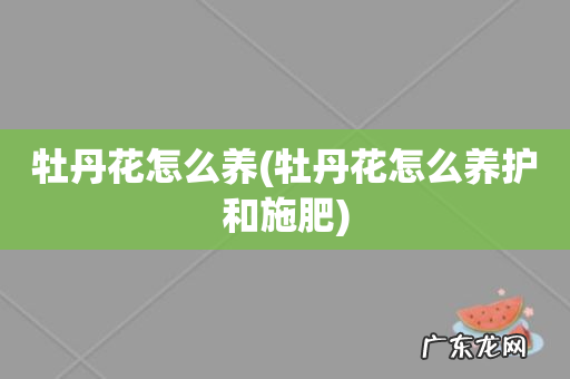 牡丹花怎么养护和施肥 牡丹花怎么养
