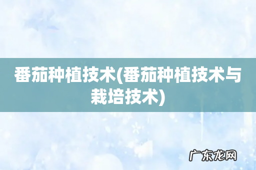 番茄种植技术与栽培技术 番茄种植技术