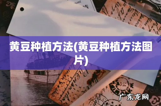 黄豆种植方法图片 黄豆种植方法