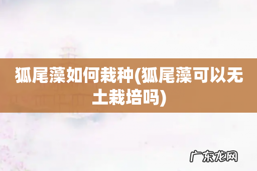 狐尾藻可以无土栽培吗 狐尾藻如何栽种