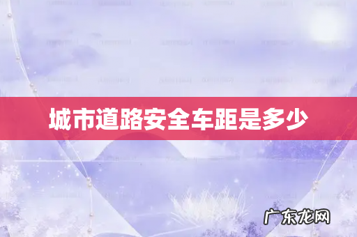 城市道路安全车距是多少