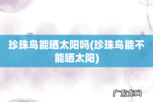 珍珠鸟能不能晒太阳 珍珠鸟能晒太阳吗