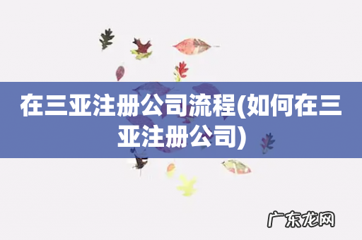 如何在三亚注册公司 在三亚注册公司流程