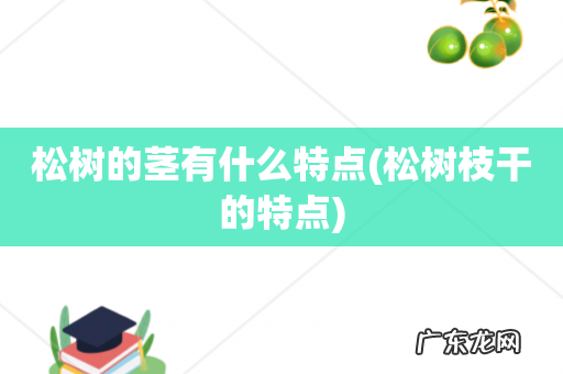 松树枝干的特点 松树的茎有什么特点