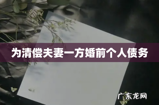 为清偿夫妻一方婚前个人债务