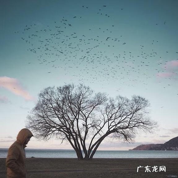 形容人很旺风水的句子 关于风水旺的句子