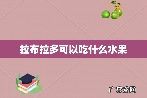 拉布拉多可以吃什么水果