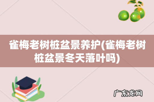 雀梅老树桩盆景冬天落叶吗 雀梅老树桩盆景养护