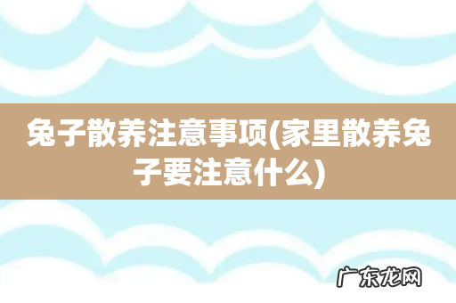 家里散养兔子要注意什么 兔子散养注意事项