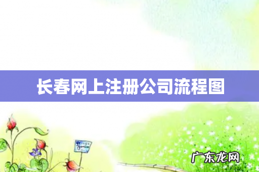长春网上注册公司流程图