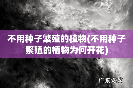 不用种子繁殖的植物为何开花 不用种子繁殖的植物