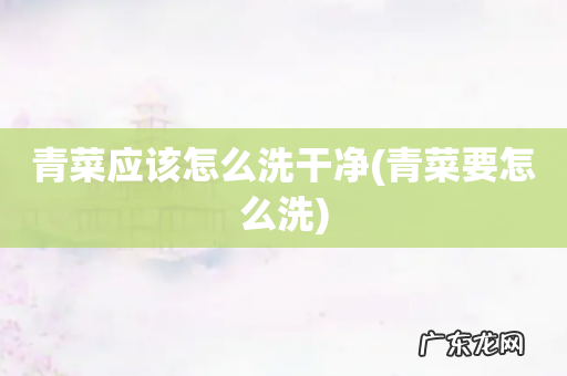 青菜要怎么洗 青菜应该怎么洗干净