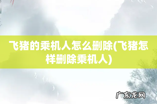 飞猪怎样删除乘机人 飞猪的乘机人怎么删除