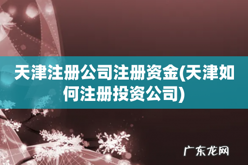 天津如何注册投资公司 天津注册公司注册资金