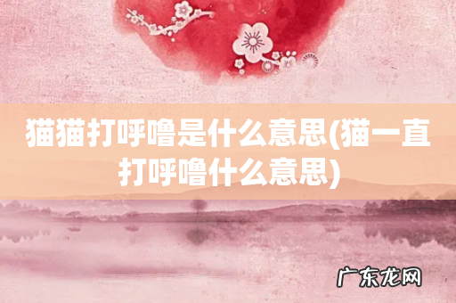 猫一直打呼噜什么意思 猫猫打呼噜是什么意思