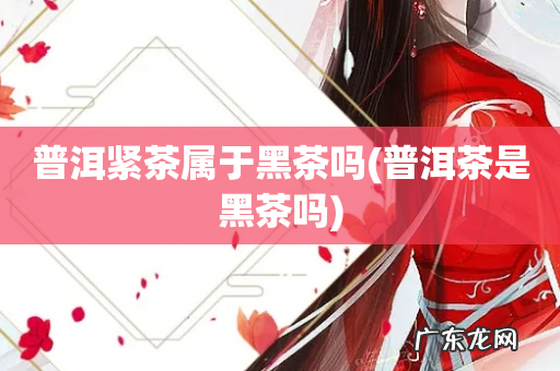 普洱茶是黑茶吗 普洱紧茶属于黑茶吗