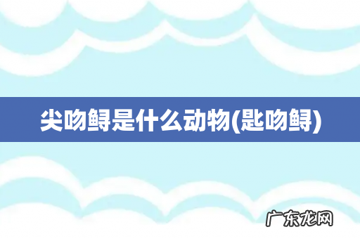 匙吻鲟 尖吻鲟是什么动物