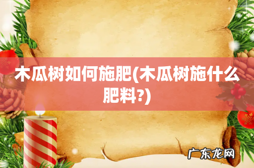 木瓜树施什么肥料? 木瓜树如何施肥