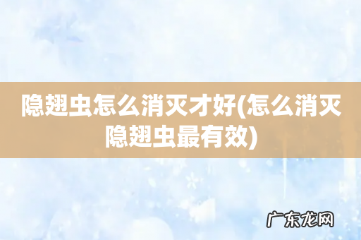 怎么消灭隐翅虫最有效 隐翅虫怎么消灭才好